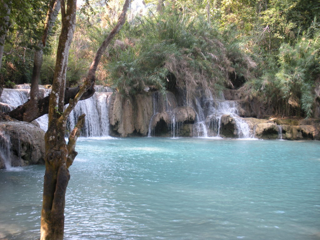 a waterfall in a forest