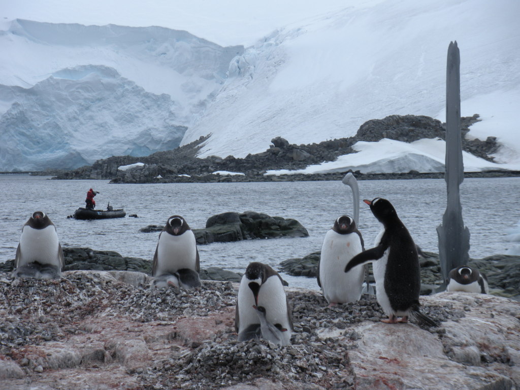 places to visit in antarctica 10961024x768 The Travel Sisters