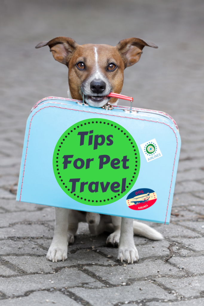 pet travel helpline