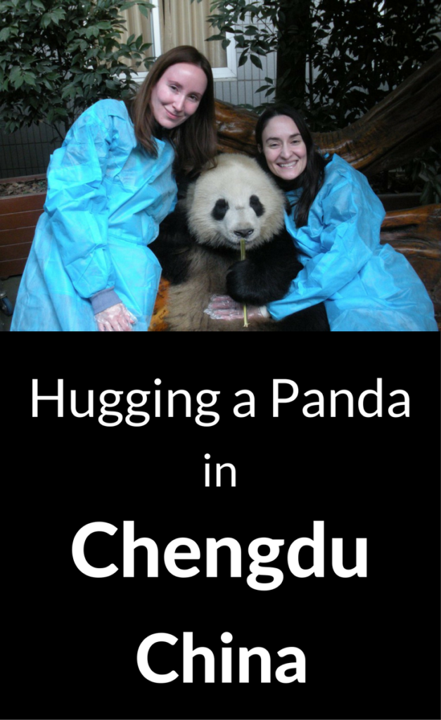 holding a panda in Chengdu China
