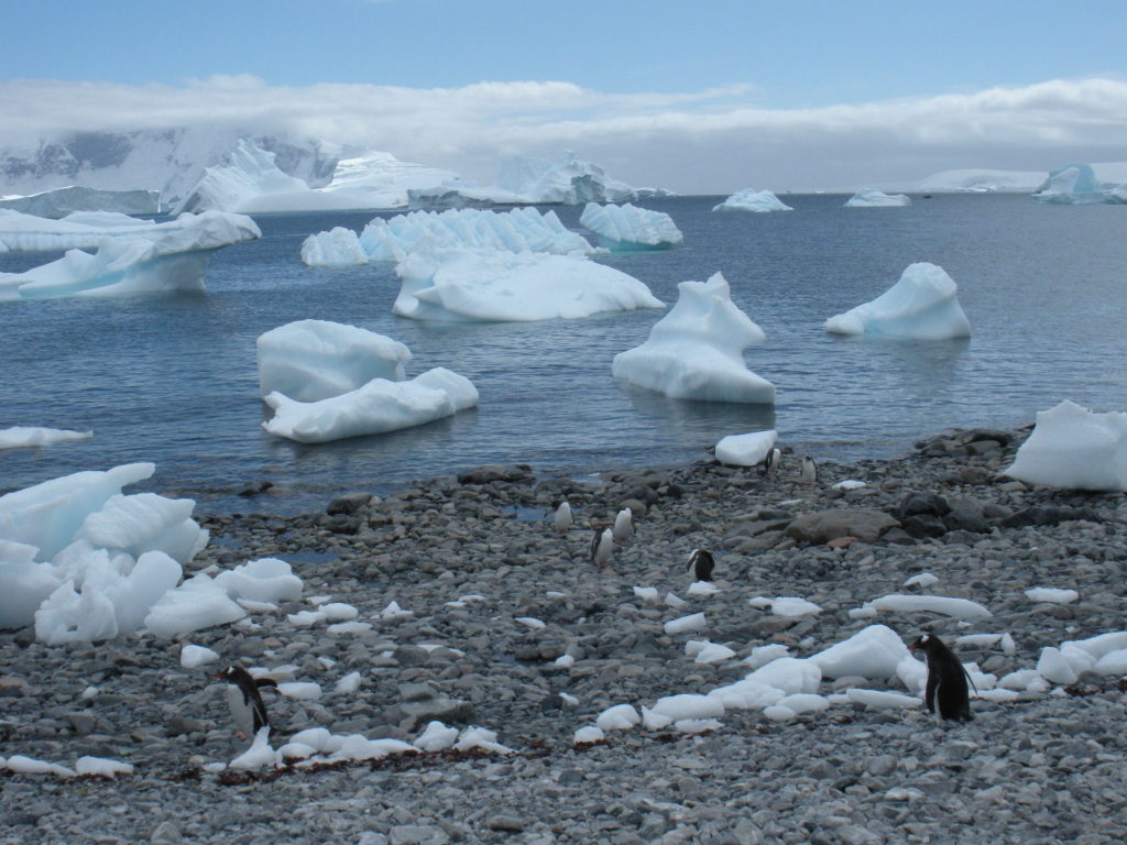 antarctica 902