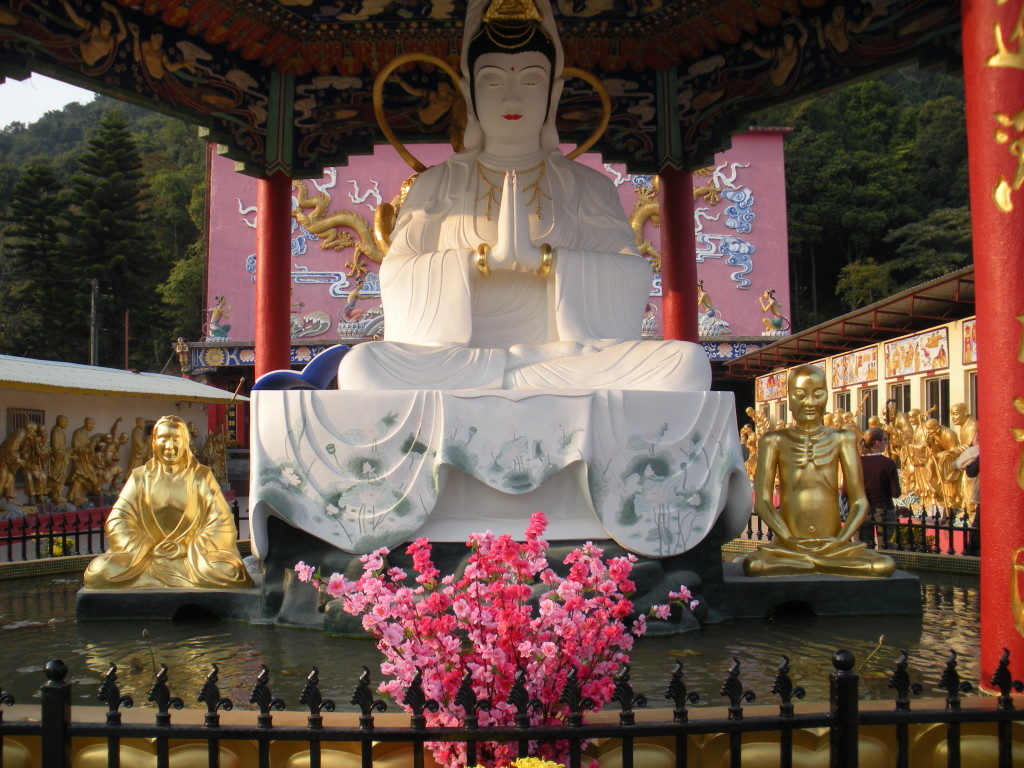 the best things to do in Hong Kong travel blog