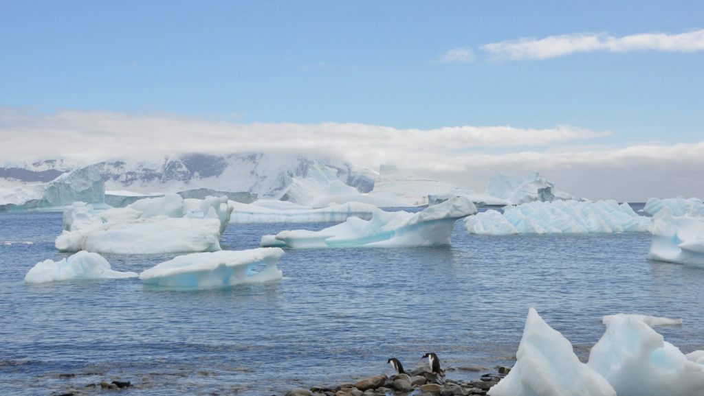 top things to do in antarctica