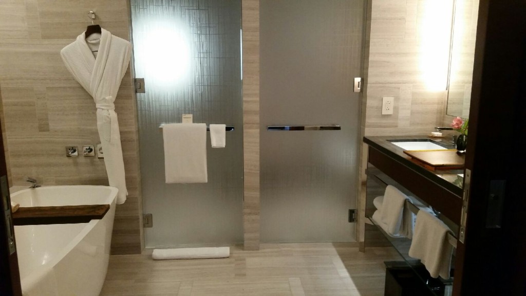 park hyatt new york review