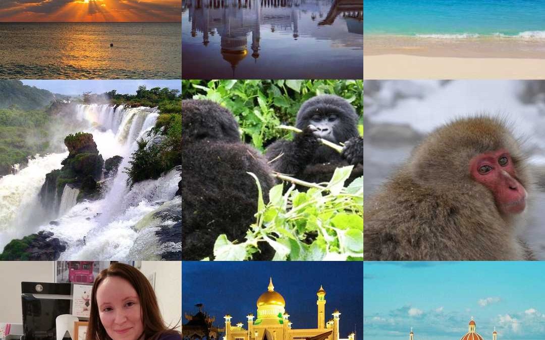 Our 9 Best Instagram Photos of 2015