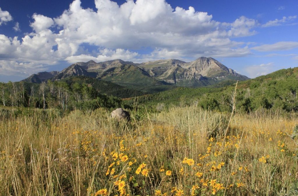 Heber Valley, Utah: An Ideal Destination for Year Round Outdoor Adventures