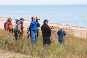 what to do in indiana dunes activities