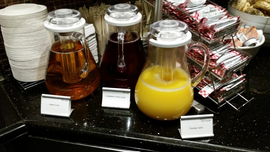 Delta sky club msp review concourse C