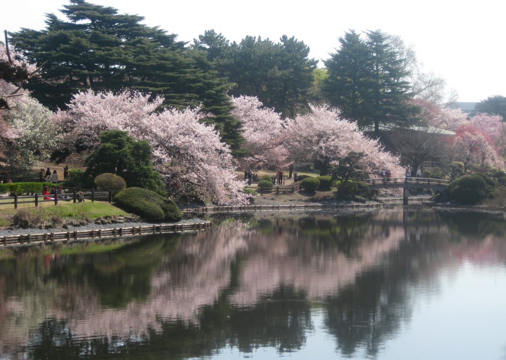 What to visit in japan