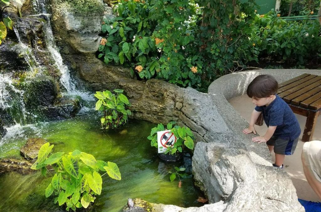 Fun Things to do in Chicago with a Toddler (According to a Local)