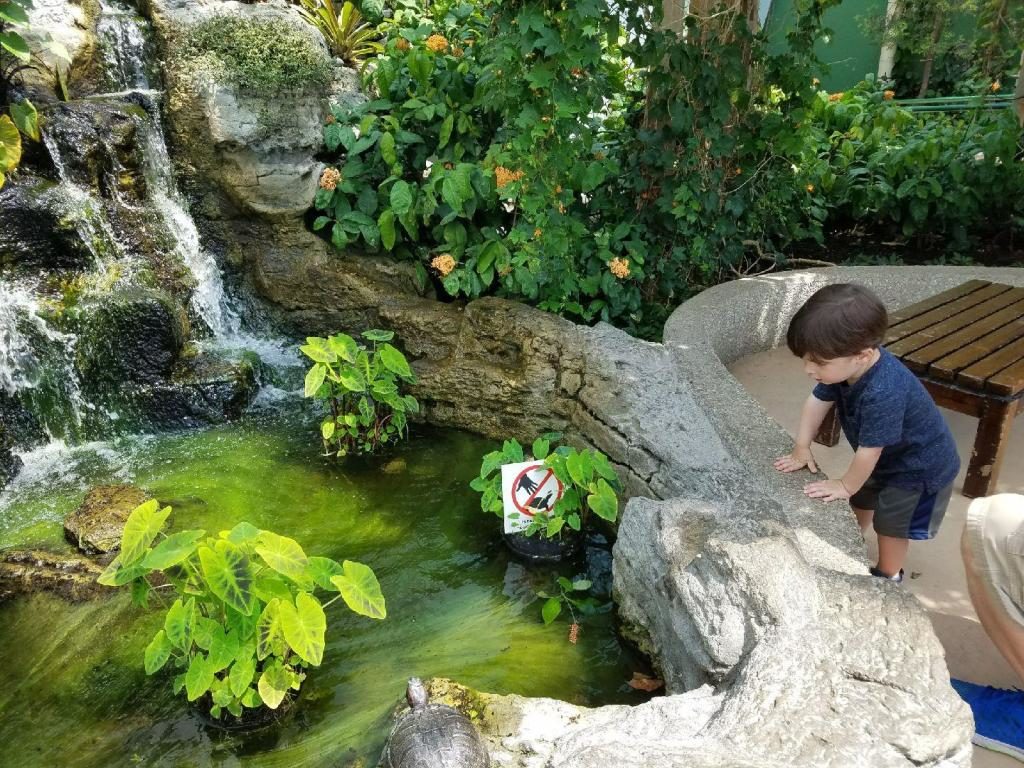 fun things to do in chicago with young children
