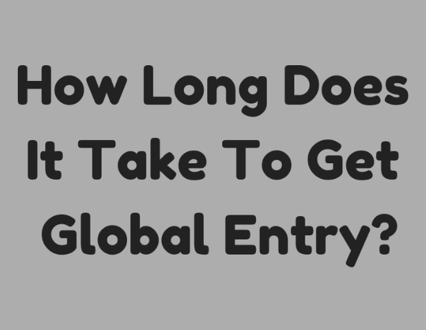 goes account for global entry login