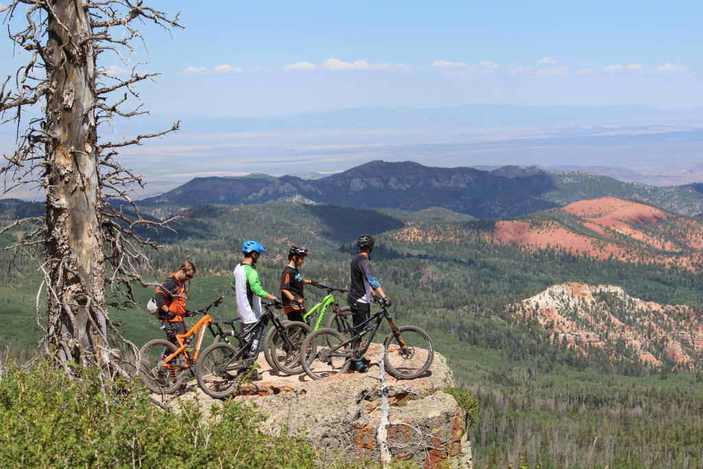 what to do near cedar city Utah: Moutain Biking at Brian Head