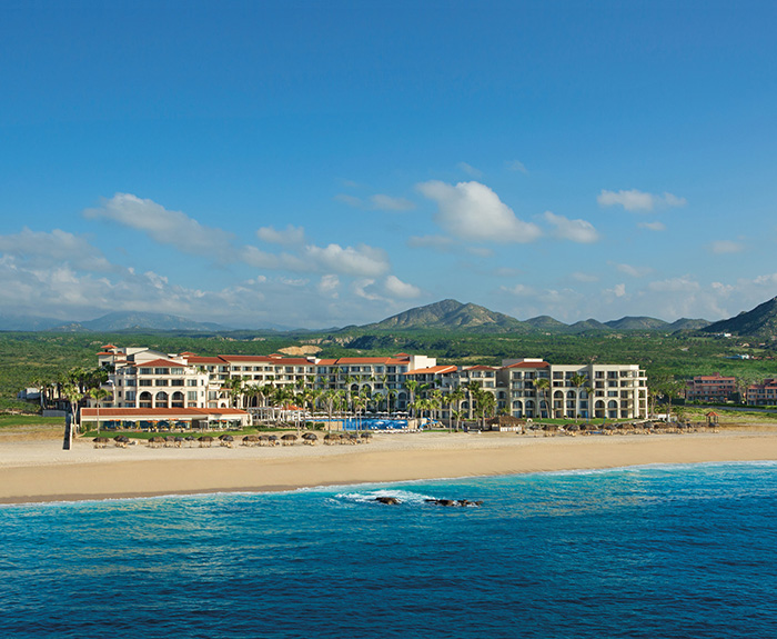 a beach with buildings and trees