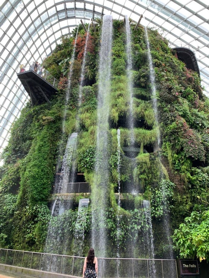the indoor waterfall in Cloud Forest is one of the most instagrammable spots in Singapore