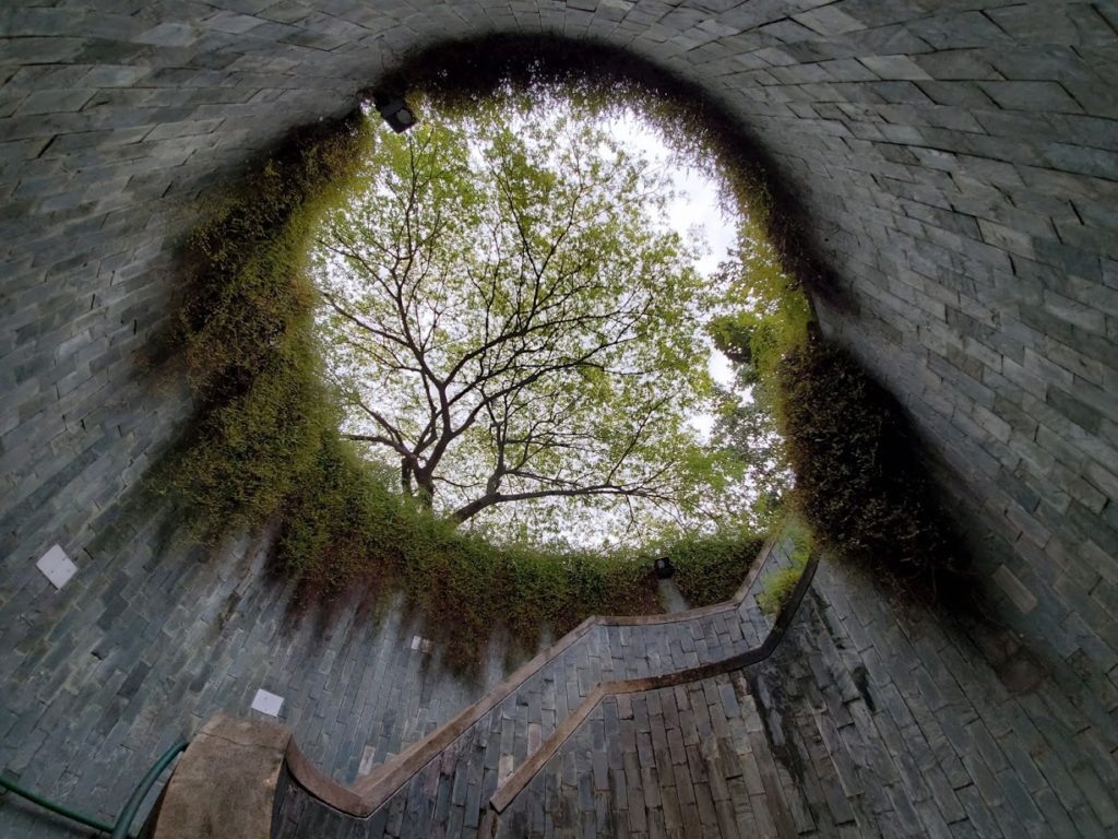 Park Tree Tunnel instagram spot