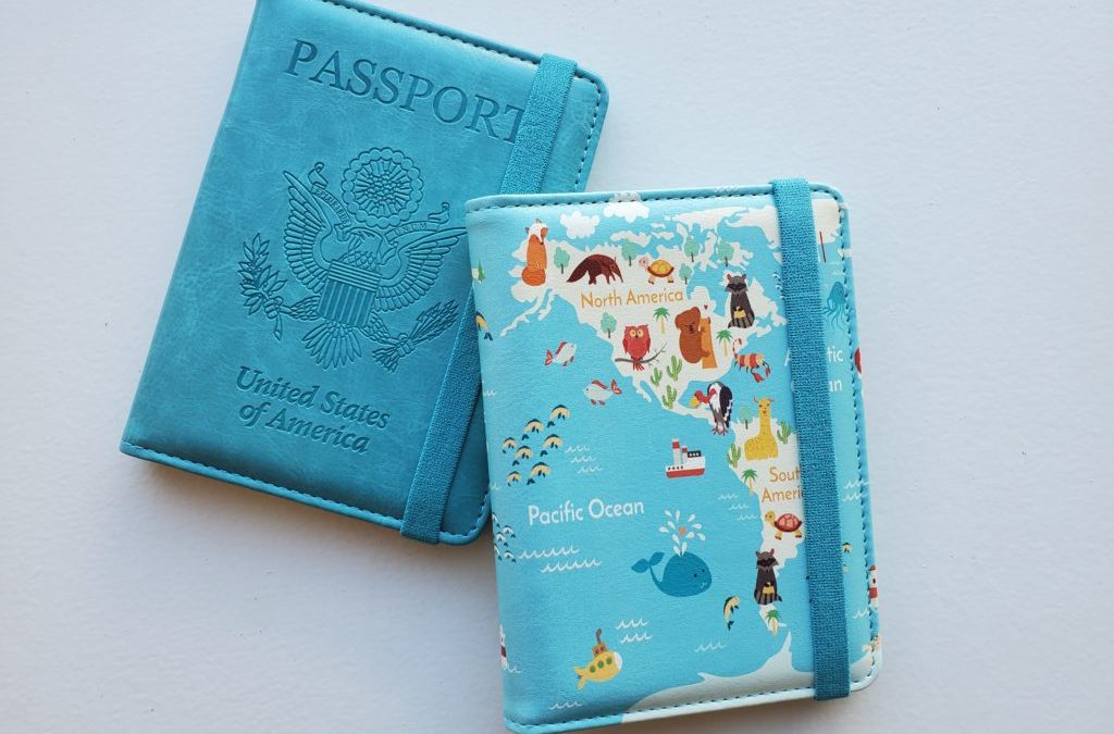 Cute Passport Holders for Travelers