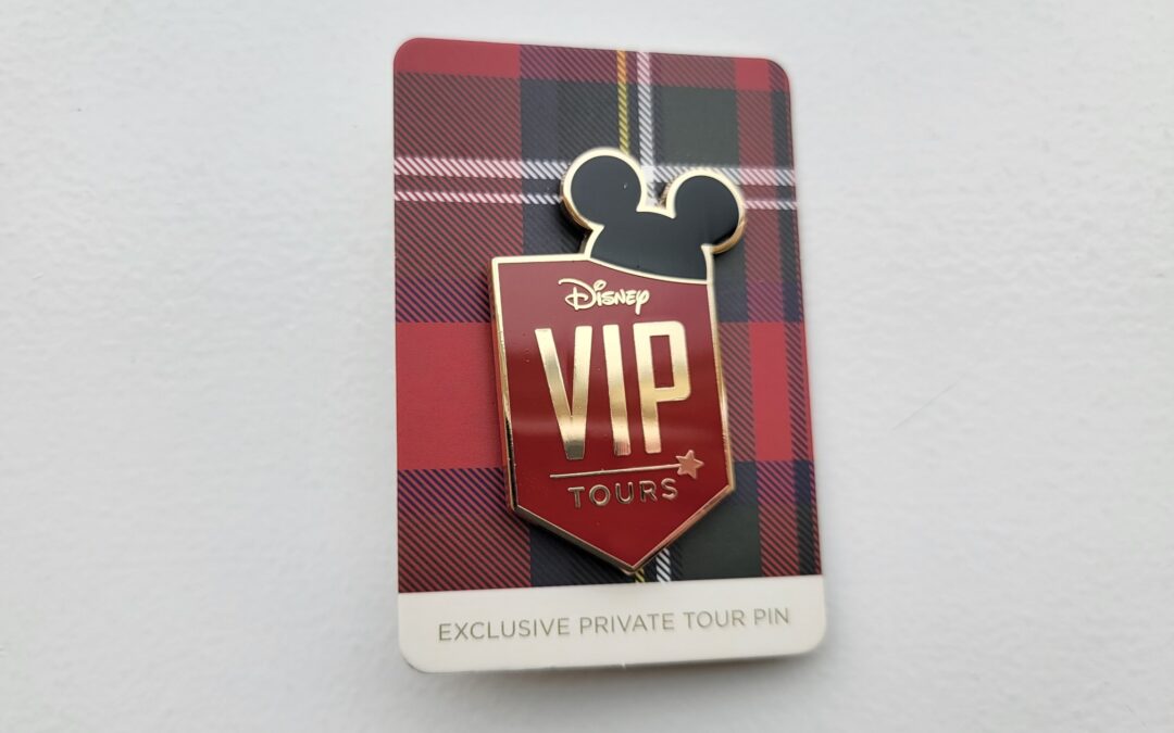 Are Disney World VIP Tours Worth It?